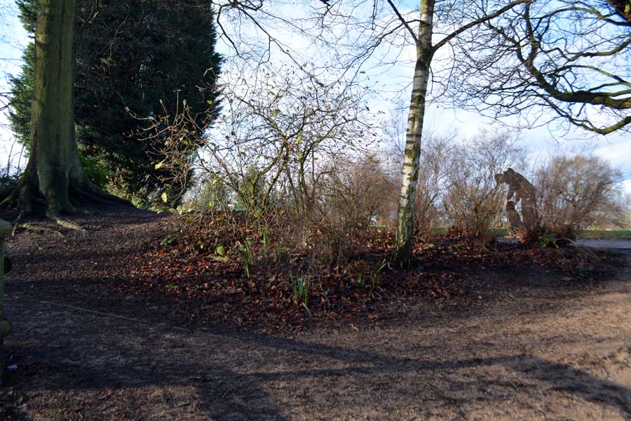 Letting the dog loose, Kings Heath park.