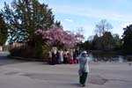 The group portrait, Cannon Hill park.