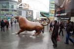 The bull at the Bull Ring.