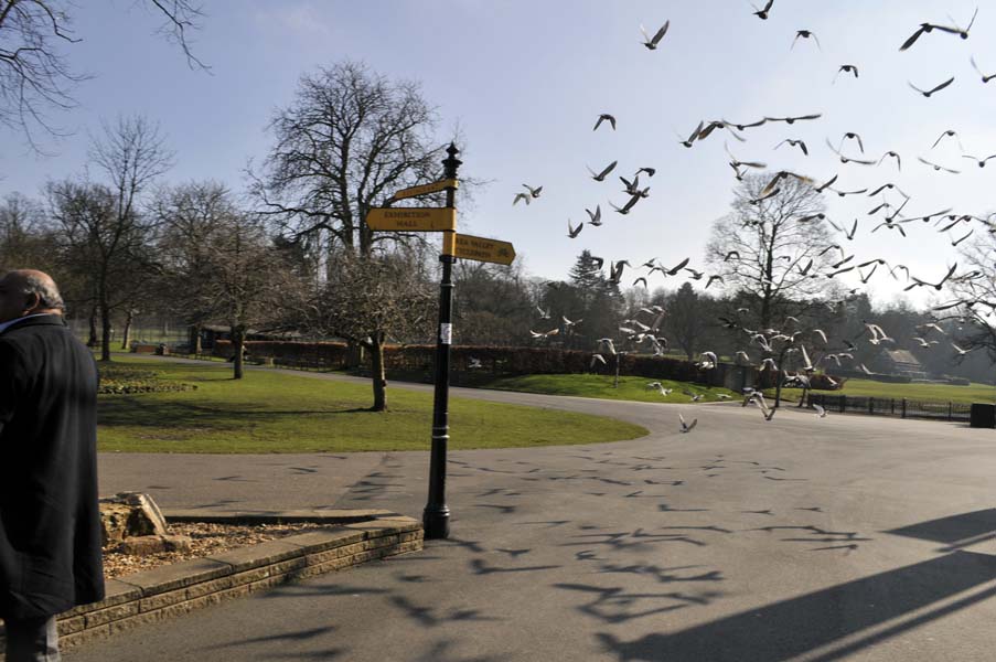 A sunny day in winter, Cannon Hill park.