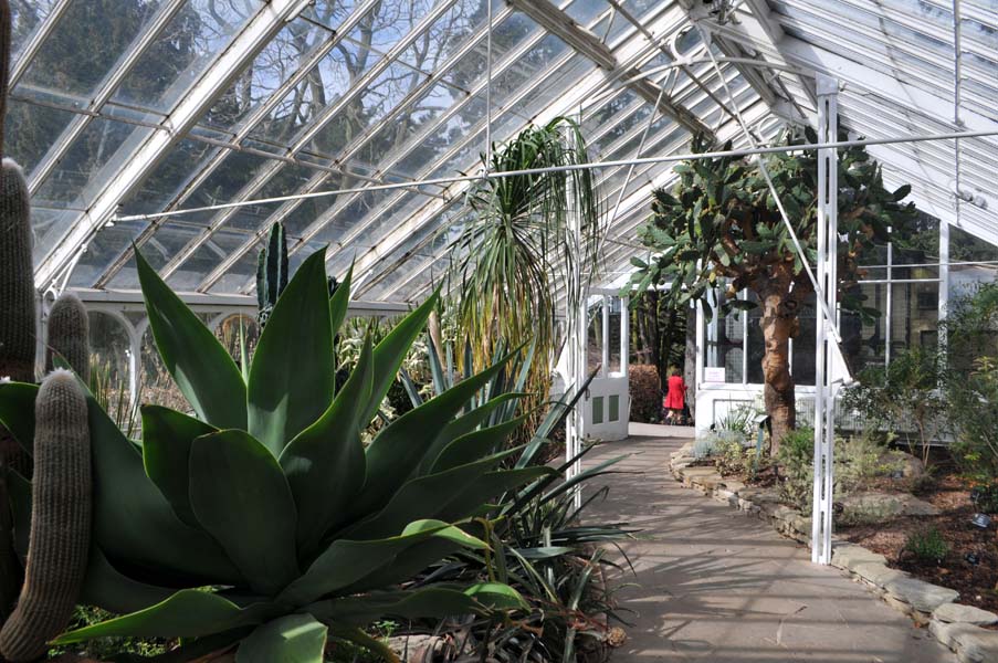 Big and green at the Botanic Gardens.