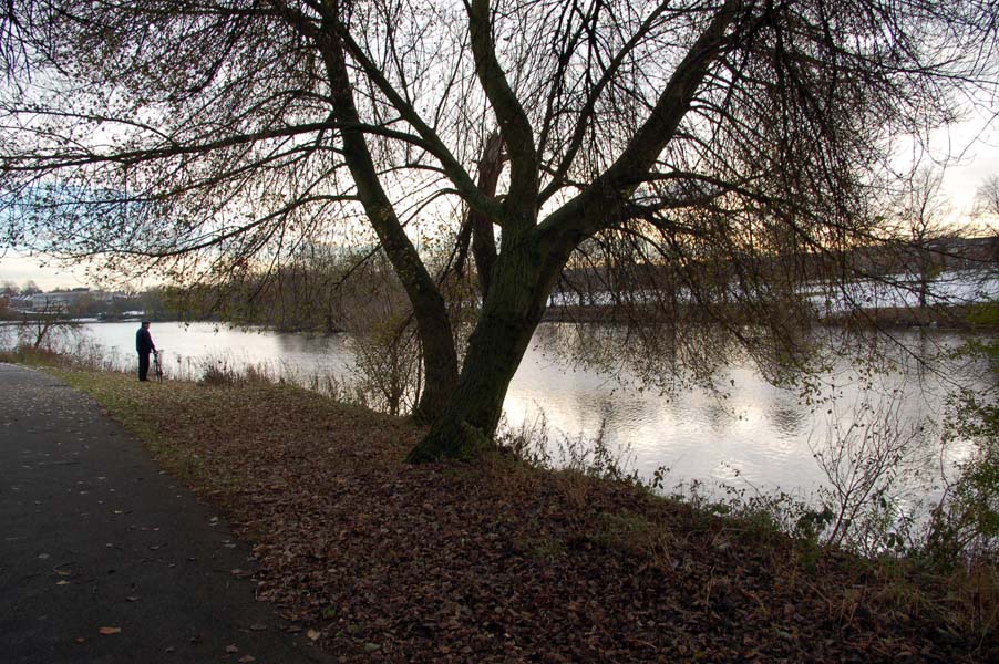 Brookvale lake in winter.