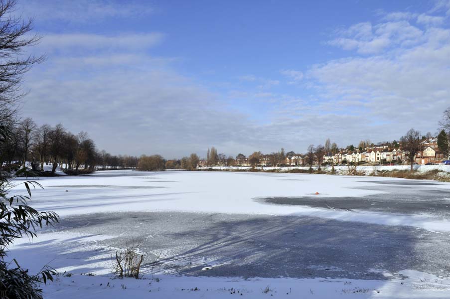 Brookvale lake.