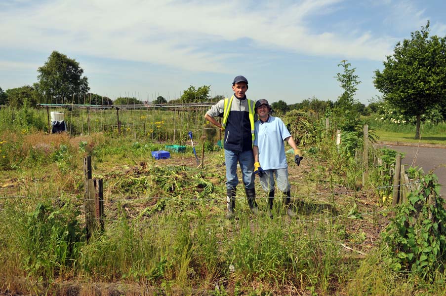 Community project workers.