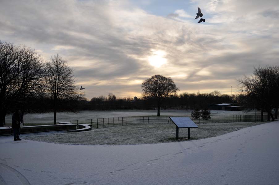 Feeding the birds, Aston park.