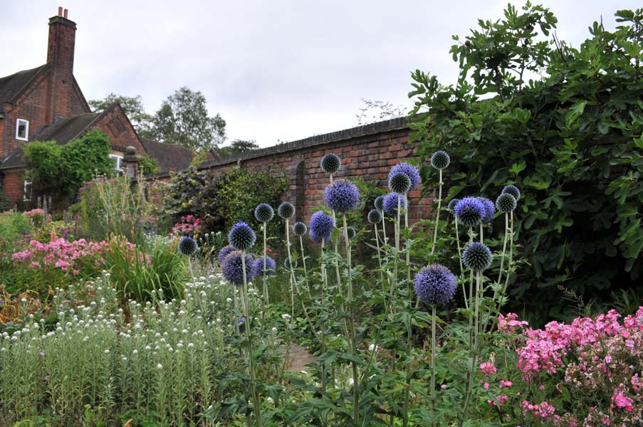 Late summer flowers, Winterbourne House.