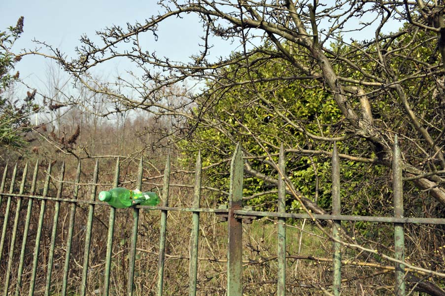 Plastic bottle and fence, Stechford.