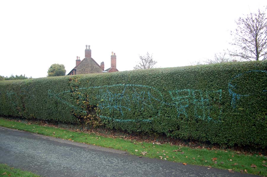 Tagged hedge, Yardley.