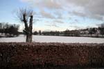 Brookvale lake, Erdington.