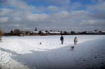 Enjoying the snow, Yardley.