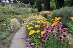 Late summer flowers at Winterbourne house.