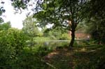 Sarehole Mill.