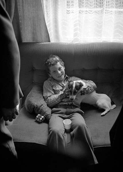 Boy and dog, at Jess and Lyn's wedding, Erdington.