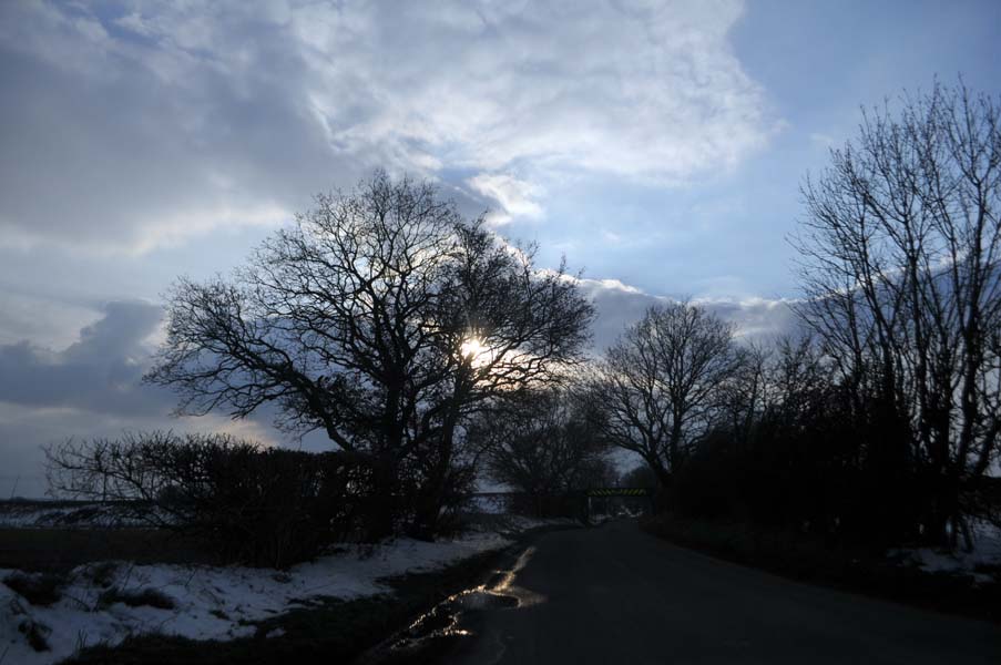 Spring sunshine, near Lichfield.