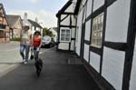 Walking the dog, near Lichfield