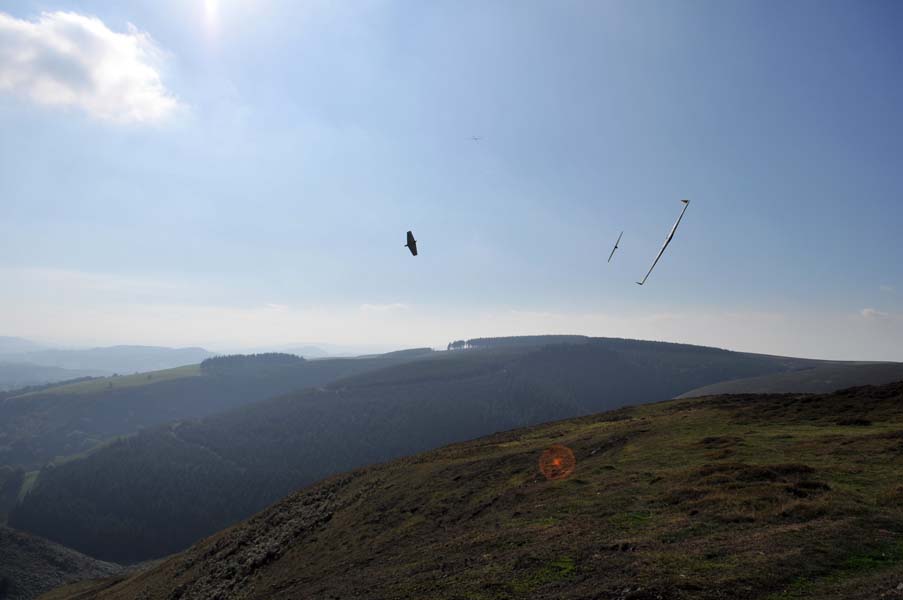 Slope soaring at the Long Mynd.