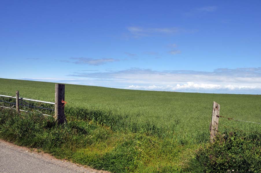 A gap in the fence.