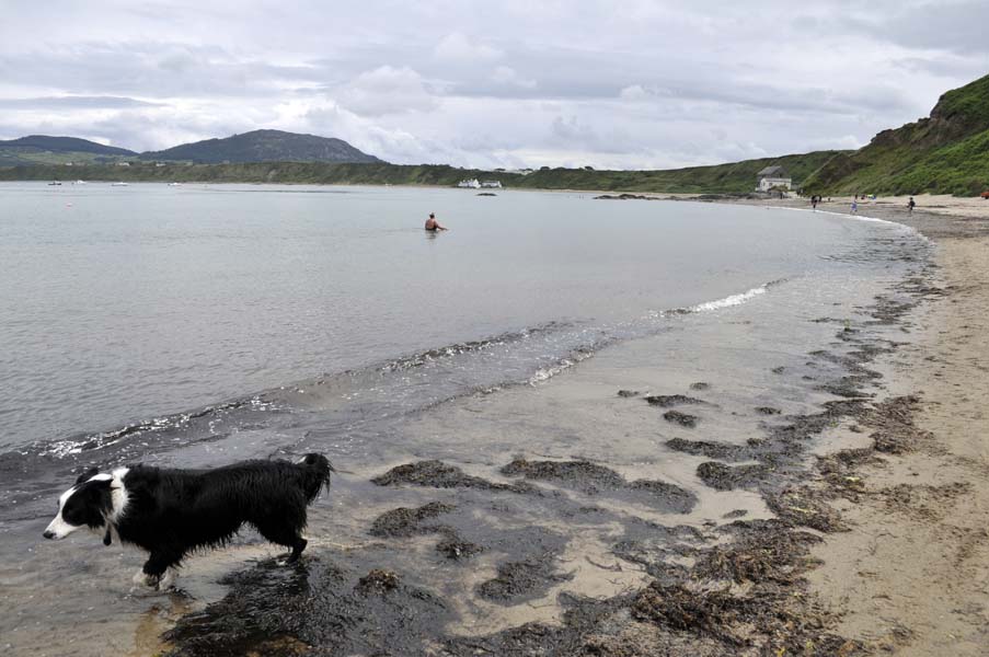 The lone swimmer, Porthdinllaen.