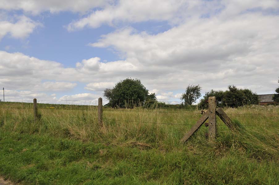 Concrete fencing.