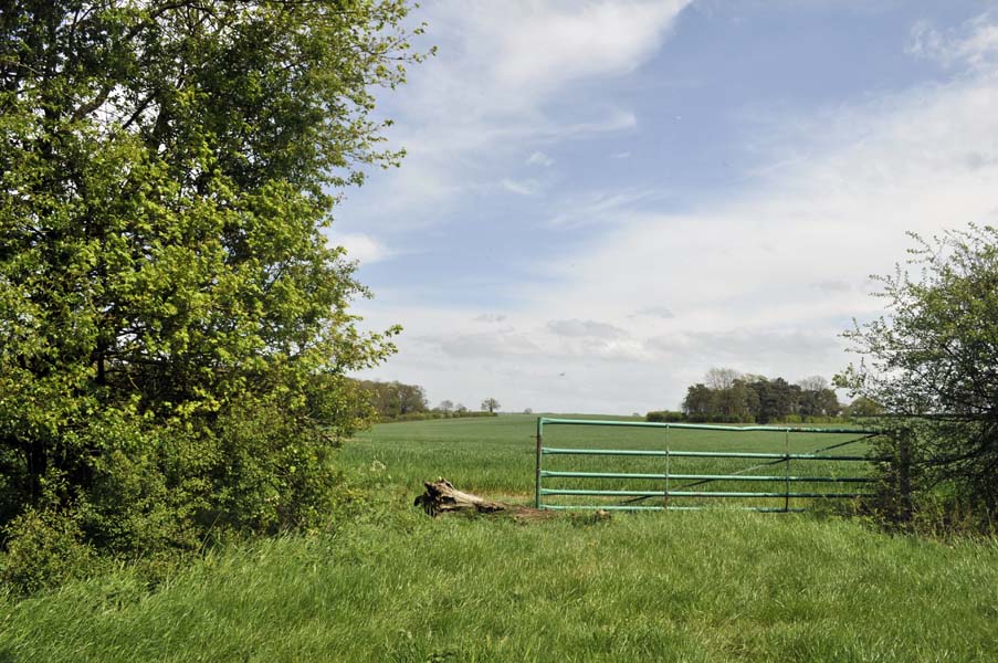 Field gate.