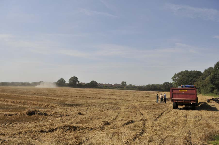 Harvesting, Warwickshire.