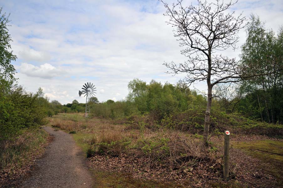 The nature reserve.