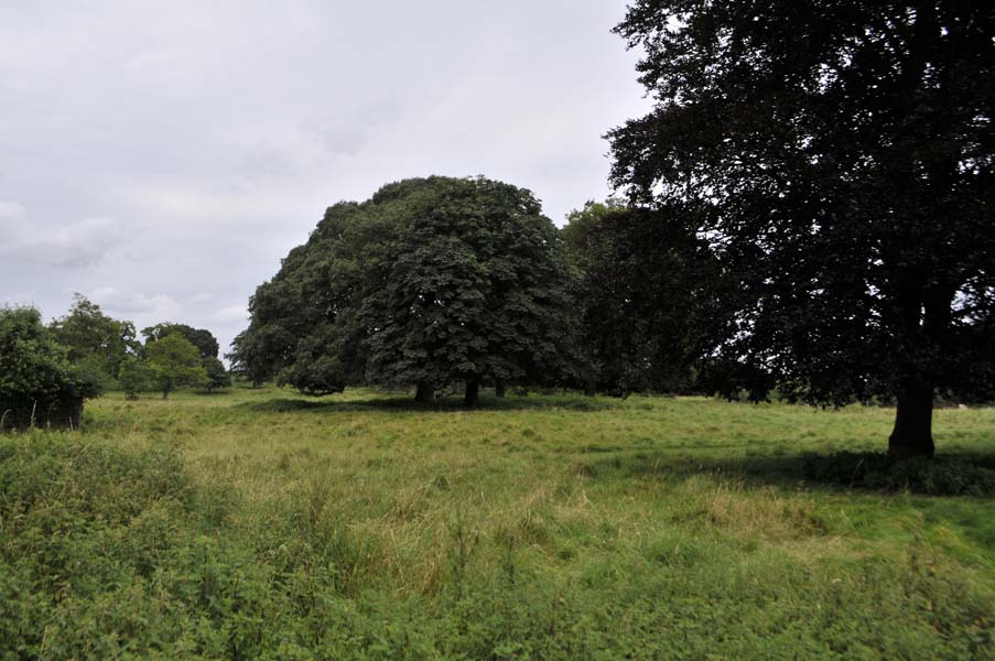 View of Charlecote park.