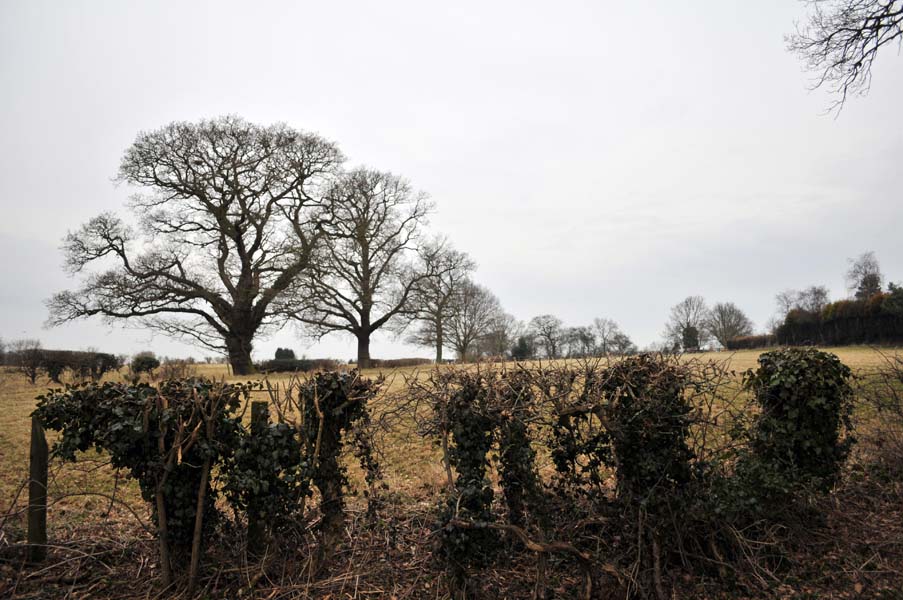 Waiting for the sun, Warwickshire.