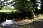 An English vista, Kenilworth.