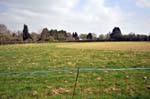 Cricket outfield, Longdon.