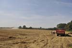 Harvesting, Warwickshire.