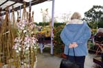 The garden centre at Whitacre.