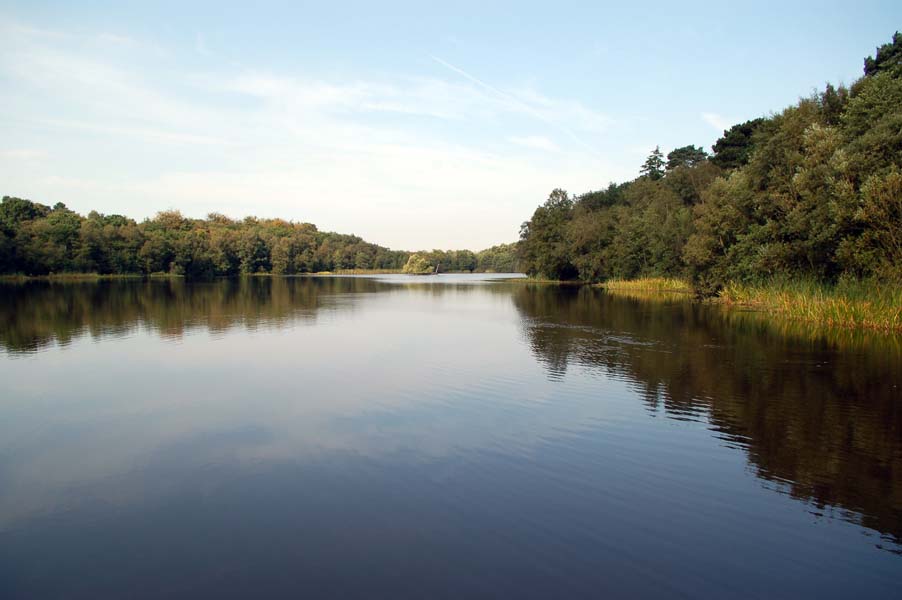 Bracebridge, Sutton Park.