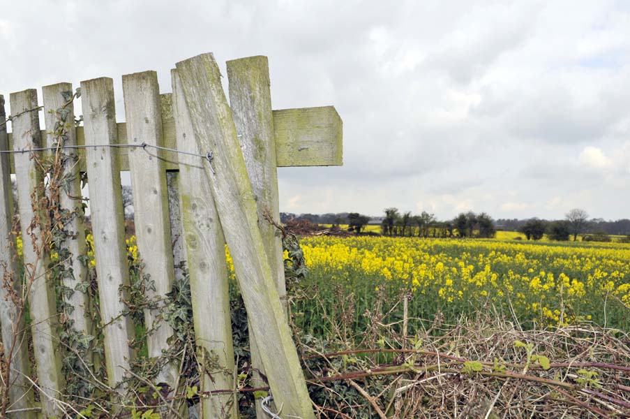 Fence.