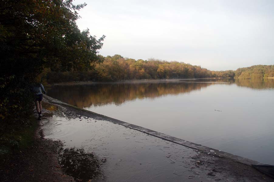 Jogger, Bracebridge lake.