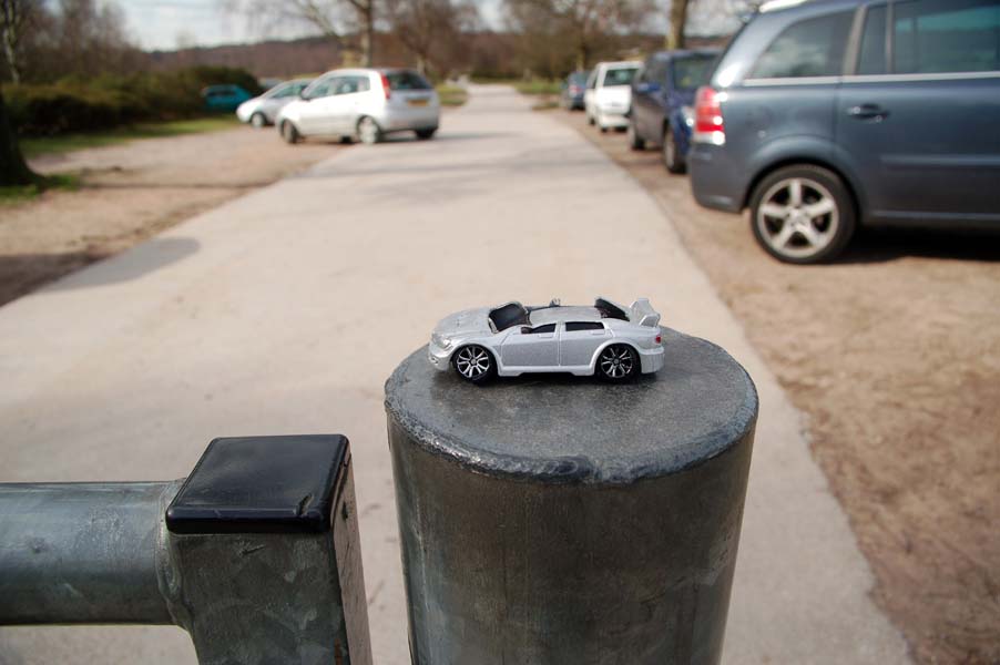 Squashed toy car, Sutton Park.