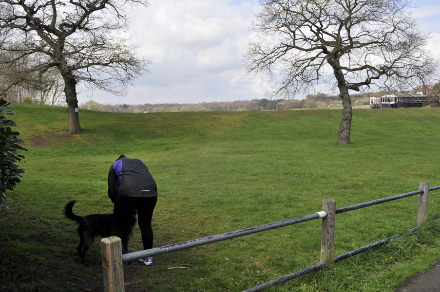 Sutton park, dog walking.