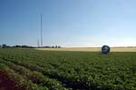 BBC, TV and radio mast, Four Oaks.