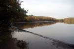 Jogger, Bracebridge lake.