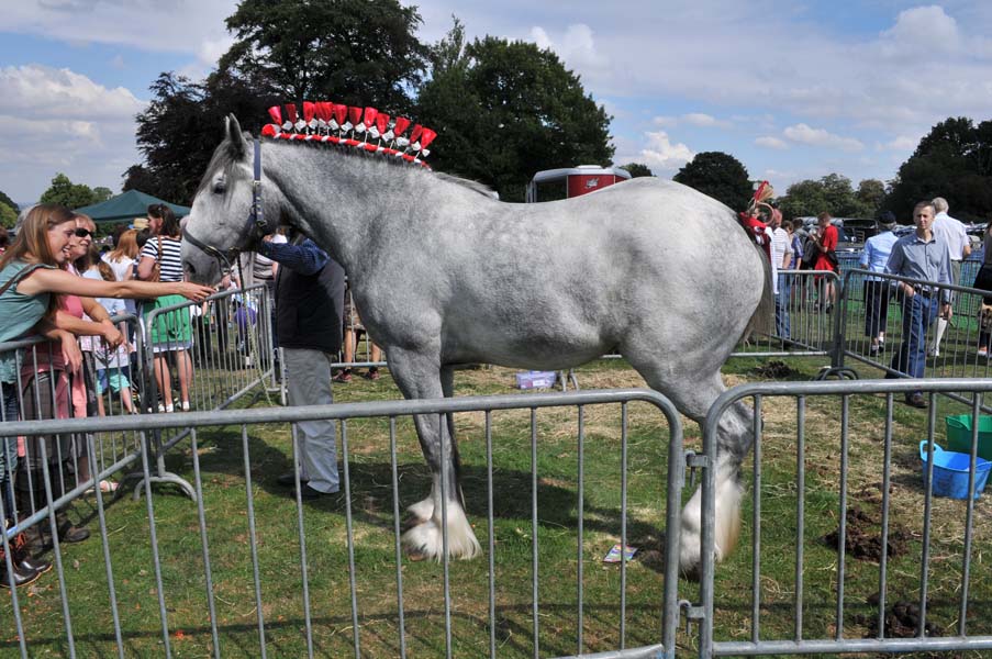 Fine turn out, the Canwell Show.