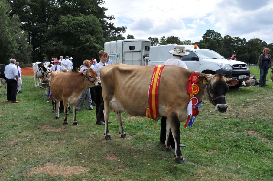 Judged, the Canwell Show.