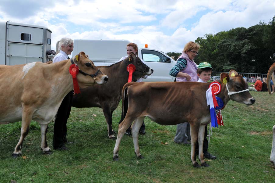 Winners, the Canwell Show.