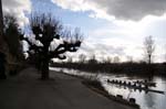 Rowing on the river.